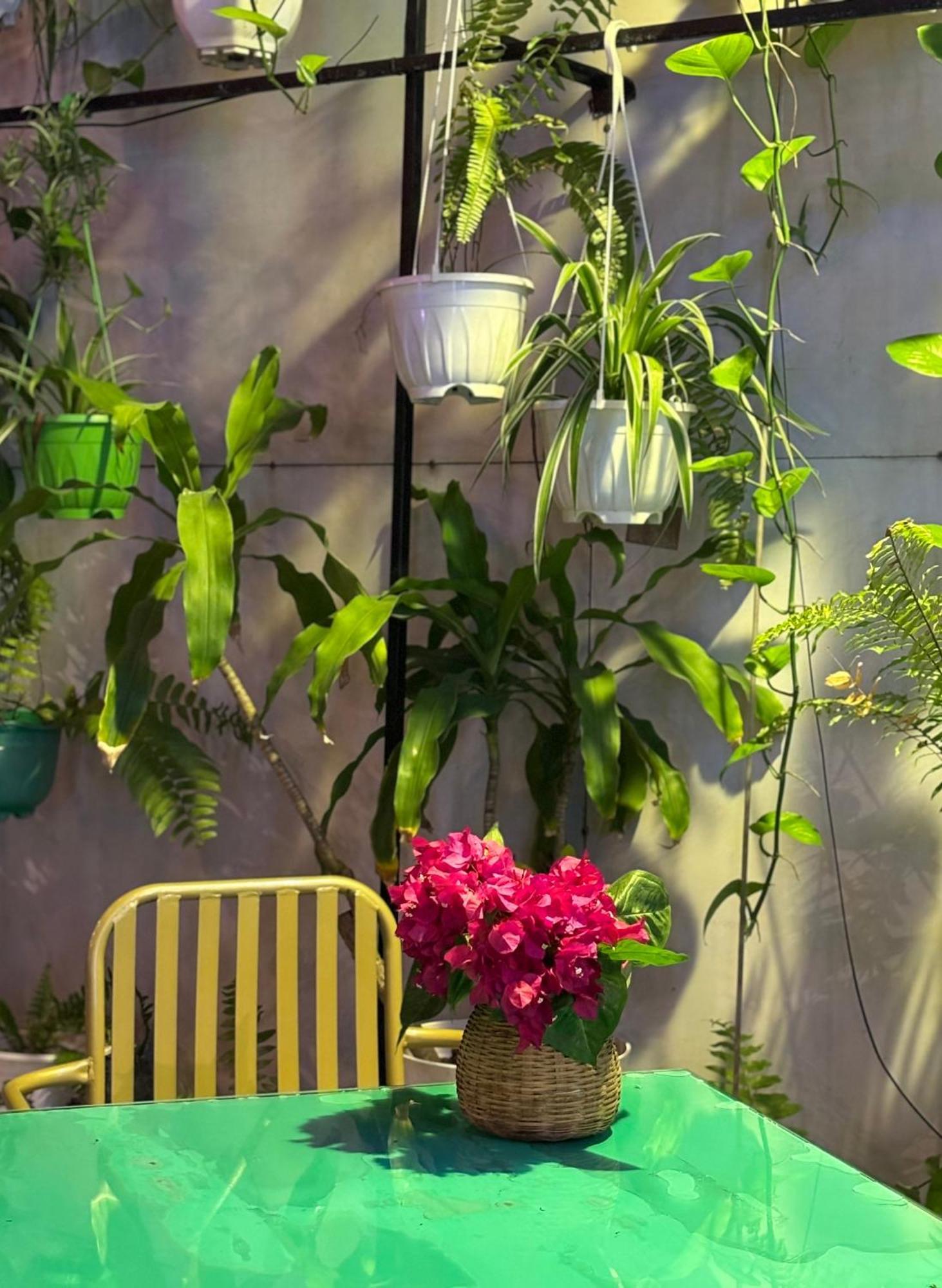 Pearl Beach Homestay Hội An Extérieur photo